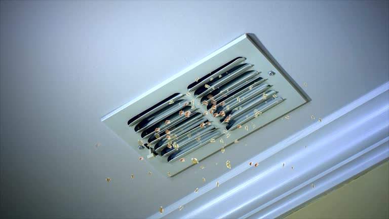 Best Local Air Duct Cleaning Services  in Salida, CA